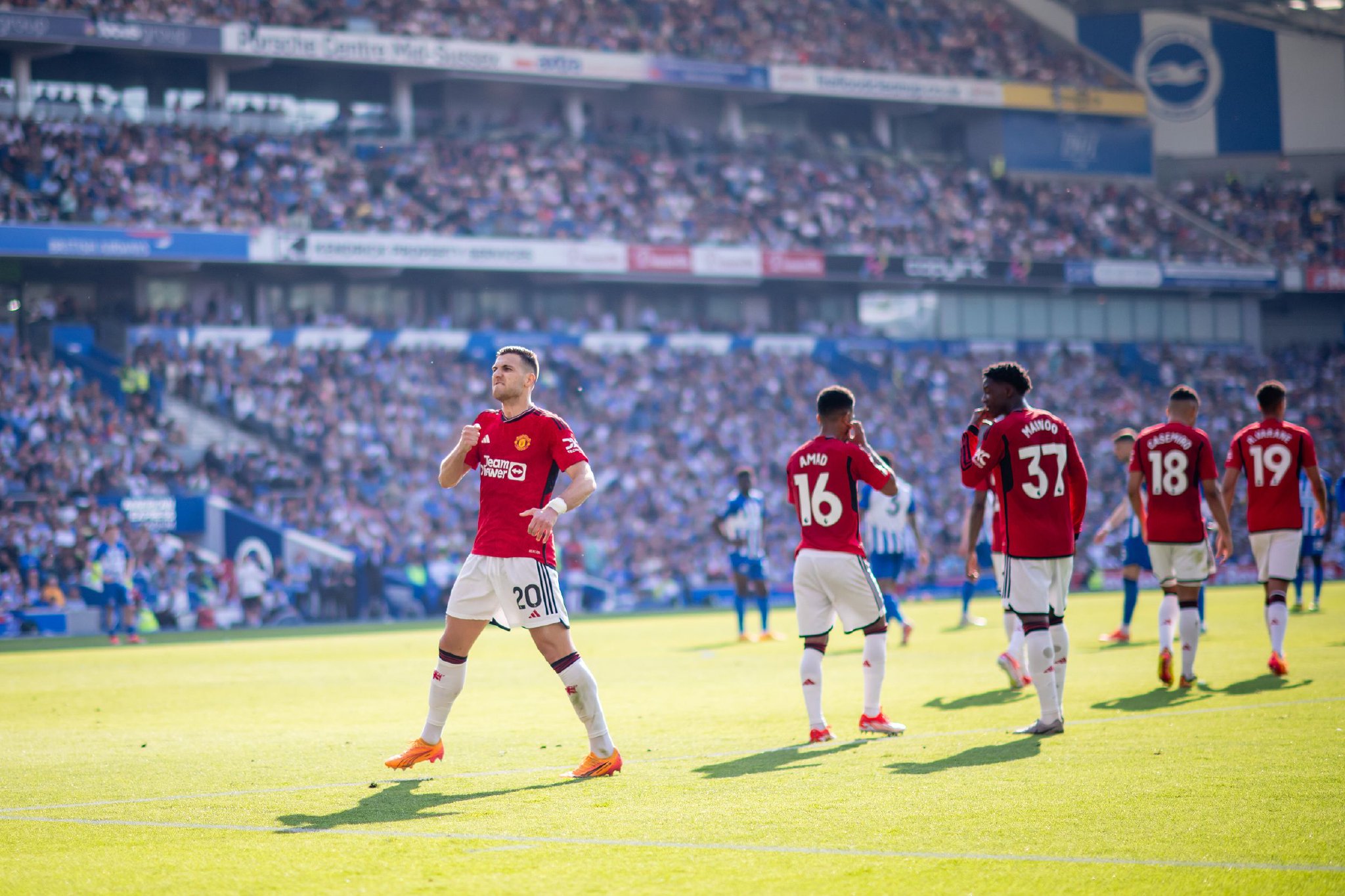 的搭档有机 的搭档有机